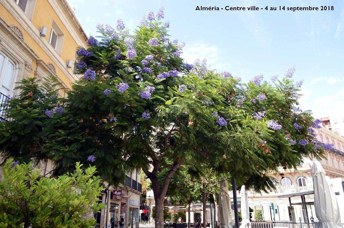 20 ALMERIA CENTRE VILLE (117).JPG